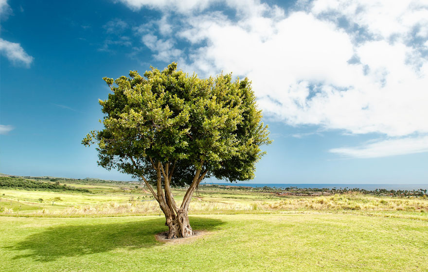 AGGAME��(�й���)���Źٷ���վ